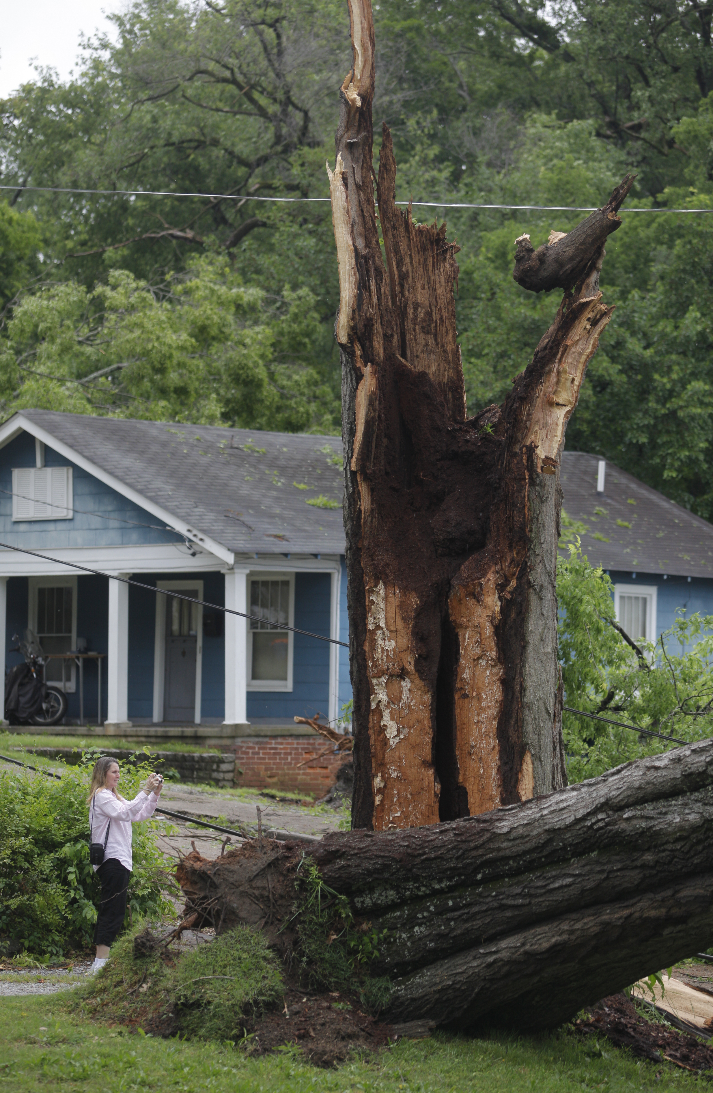 Cindy Hammontree {CQ} stops to take a photo of a large fallen tree that took out power lines and slowed traffic at the intersection of Main Street and Old Ringgold Rd. Trees were felled along Missionary Ridge and Main Street during Wednesday morning's storm.