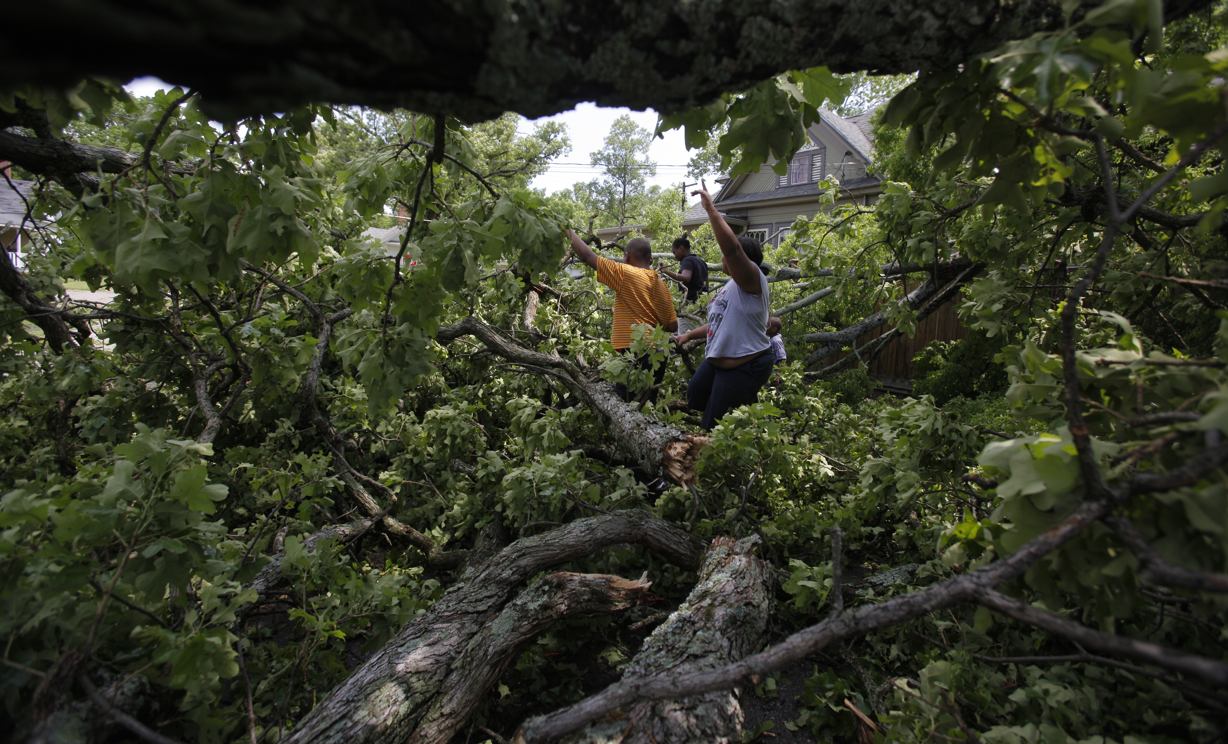 David Dozier {CQ}, 10, Tanette Dozier {CQ}, 11, Brittany Dozier {CQ}, 19, and Deandre Dozier {CQ}, 6, siblings, wave to friends from inside the branches of a fallen tree. Trees were felled in the Highland Park neighborhood during Wednesday morning's storm.