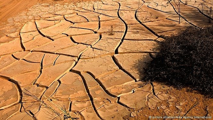 Years of drought followed by torrential rains in places like Senegal, Africa, highlight the risks of ignoring the devastatin effects of climate change, columnist Thomas Friedman argues.