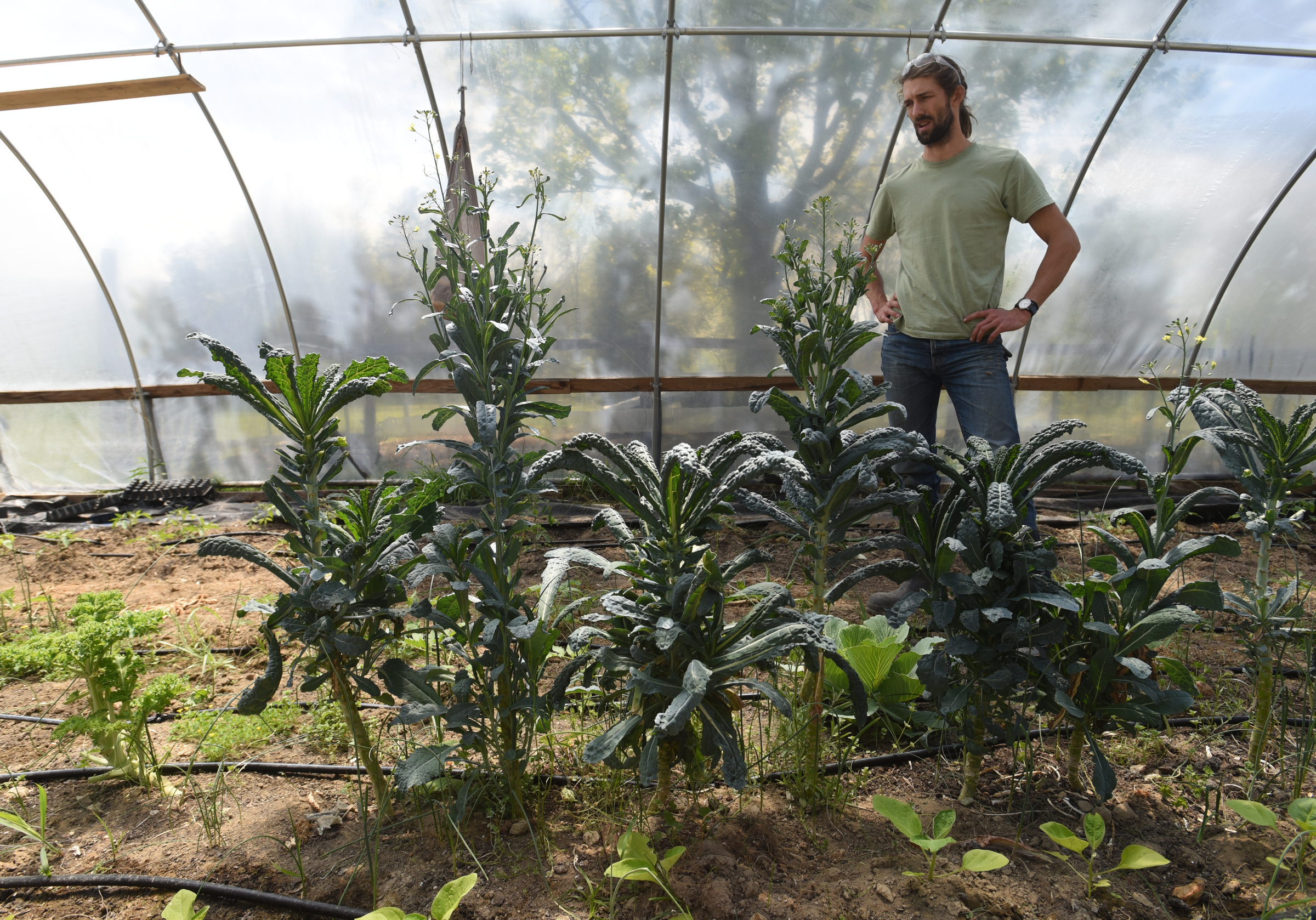 Stephen Bontekoe talks Friday, April 15, 2016 on his Dade County, Ga. farm about the CSA and co-op program that he will be starting.