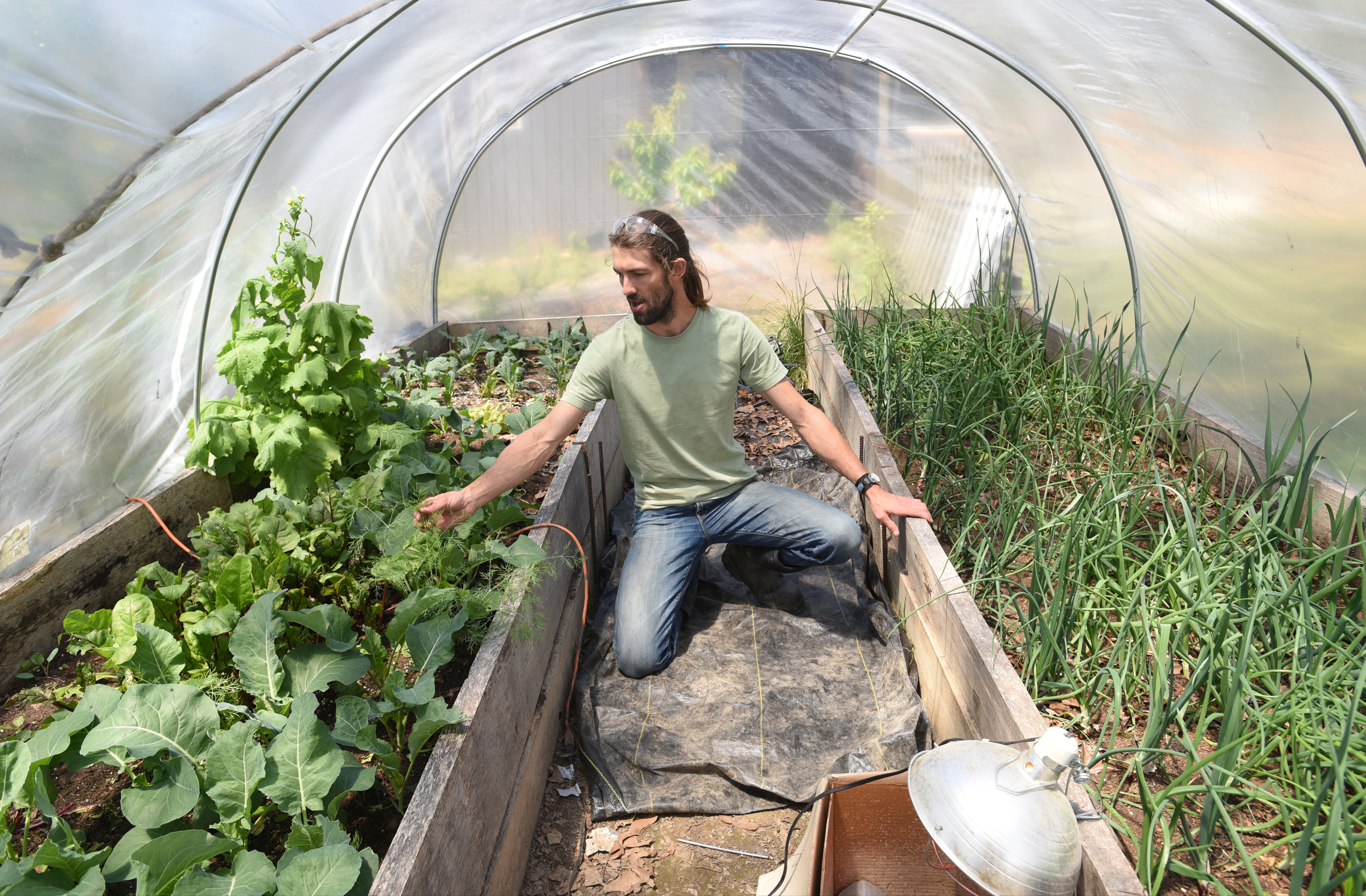 Stephen Bontekoe talks Friday, April 15, 2016 on his Dade County, Ga. farm about the CSA and co-op program that he will be starting.