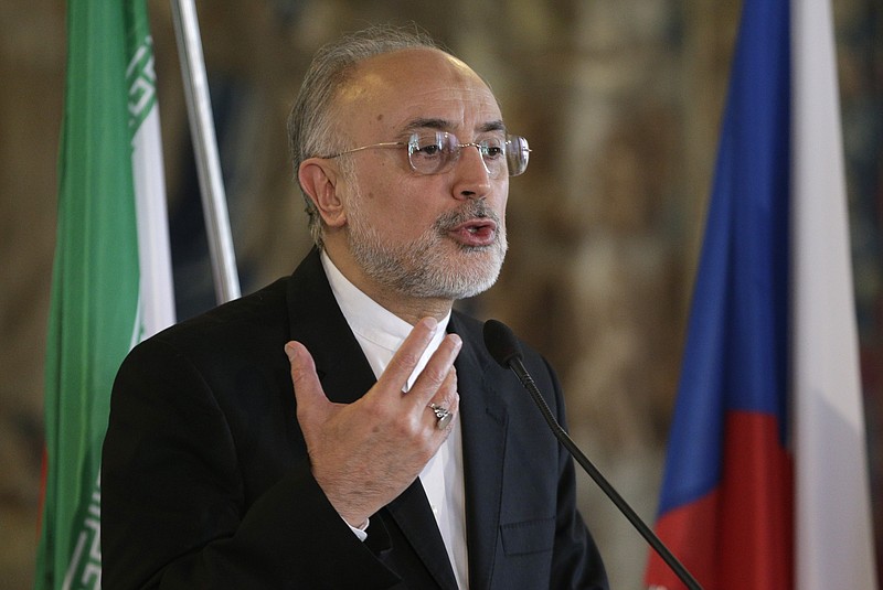 
              Iran's vice president and nuclear chief Ali Akbar Salehi addresses media during a press conference in Prague, Czech Republic, Monday, May 2, 2016. (AP Photo/Petr David Josek)
            