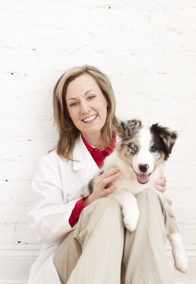 Local vet becomes first certified 'fear free vet' | Chattanooga Times Free  Press