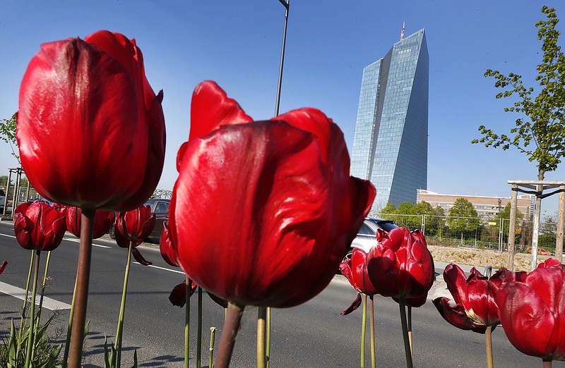 
              Tulips stand in front of the headquarters of the European Central Bank in Frankfurt, Germany, Monday, May 2, 2016. (AP Photo/Michael Probst)
            