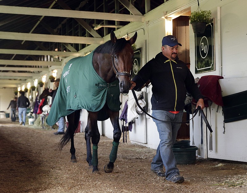 A hot walker takes Kentucky Derby entrant Nyquist for a walk after a workout at Churchill Downs Friday, May 6, 2016, in Louisville, Ky. The 142nd running of the Kentucky Derby is scheduled for Saturday, May 7. (AP Photo/Charlie Riedel)