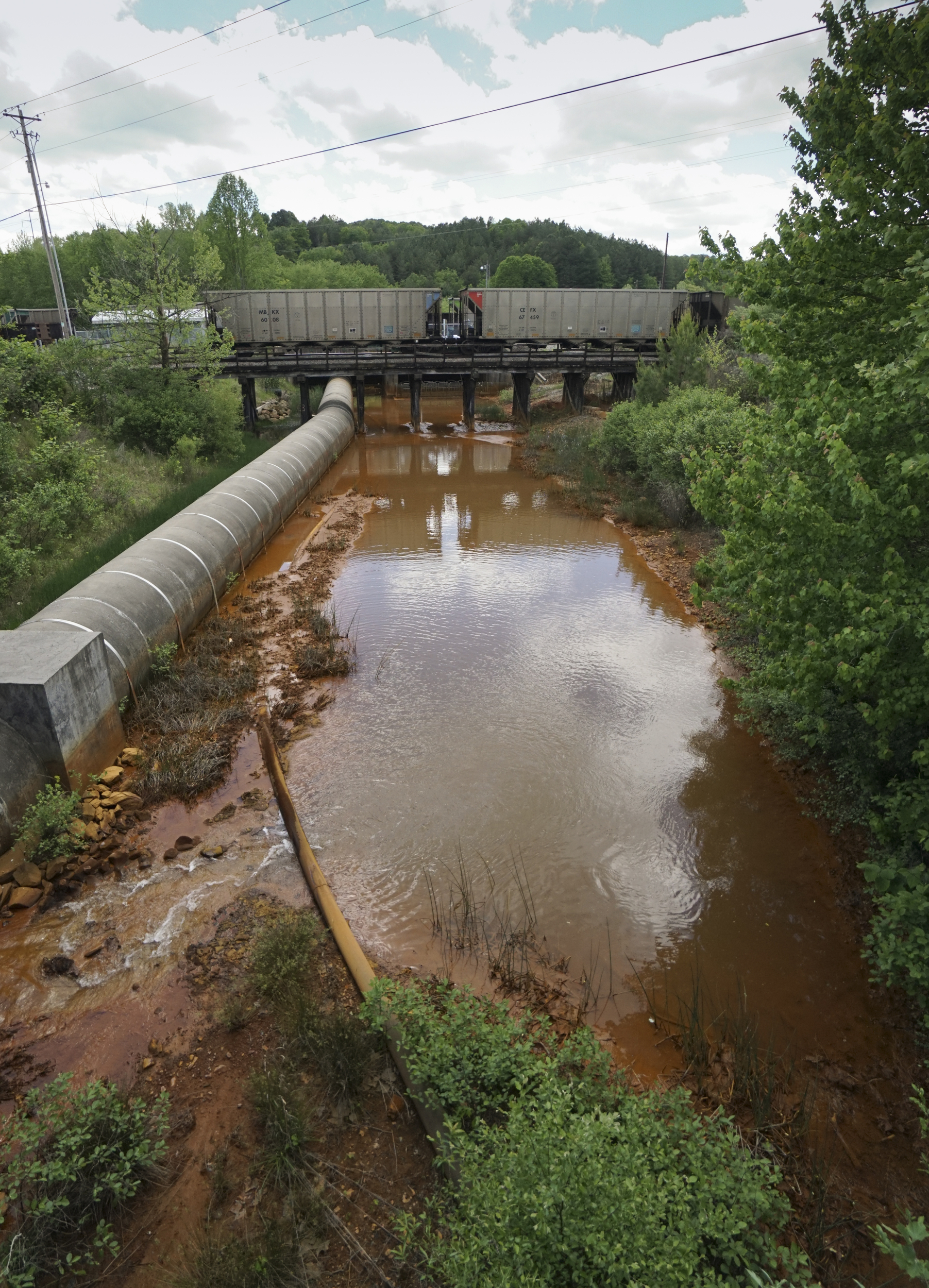 All streams within the Copper Basin were contaminated for years, but restoration and water quality improvements have made water sustainable for wildlife and natural tree regeneration in most of the area.