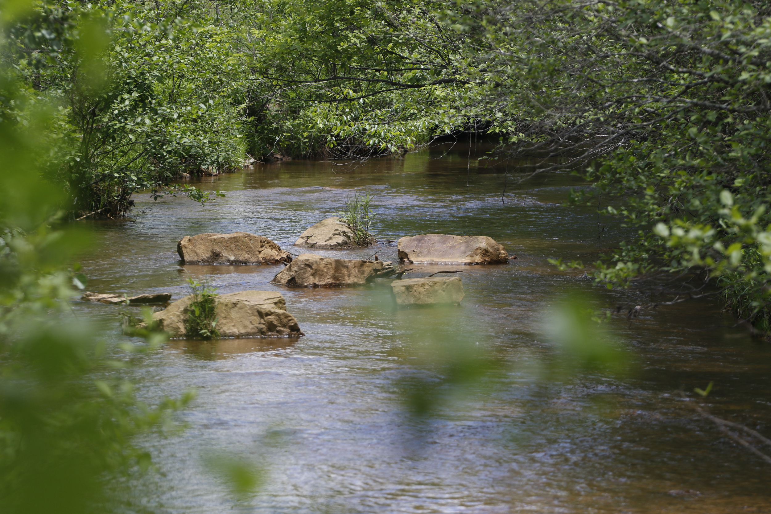 North Potato Creek