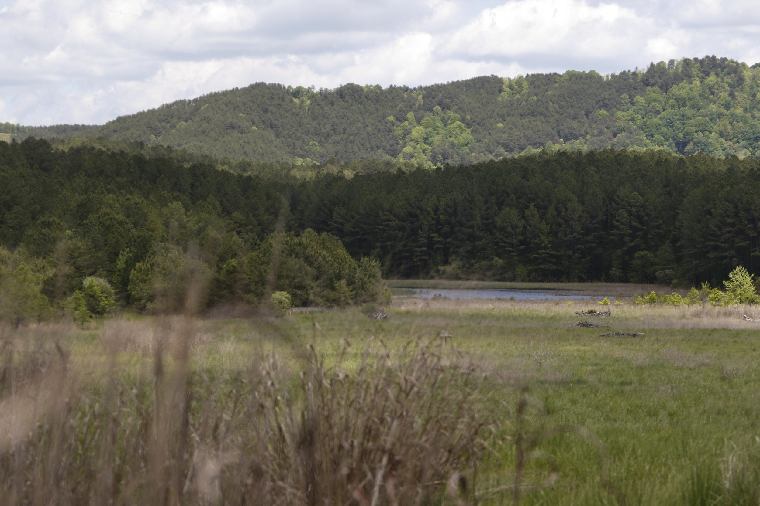 The Tailings Pond area in the Copper Basin.