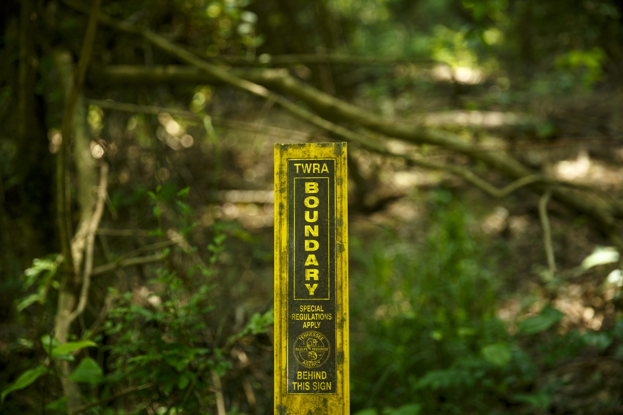 A TWRA boundary marker is seen near the site of a new canoe put-in on Longview Drive for North Chickamauga Creek on Wednesday, May 11, 2016, in Hixson, Tenn.