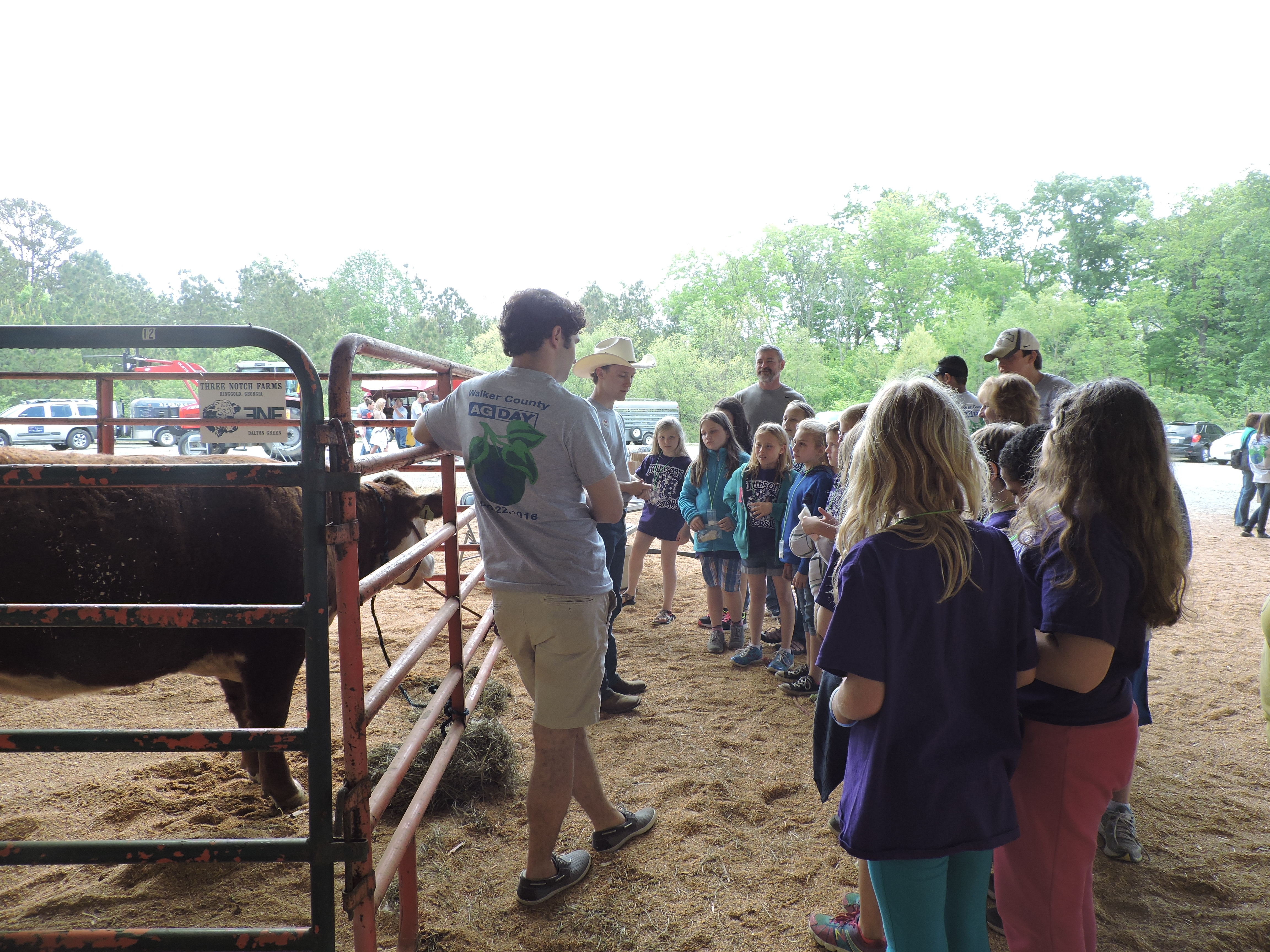 Gordon Lee High School students Adam Whitsett, left, and Dalton Green talk to a group of students about what it's like to raise cattle. Green said his farm sells cattle to someone out West and they are fed well and then sent to a packing house. He introduced students to his heifer Dahlonega Hereford.