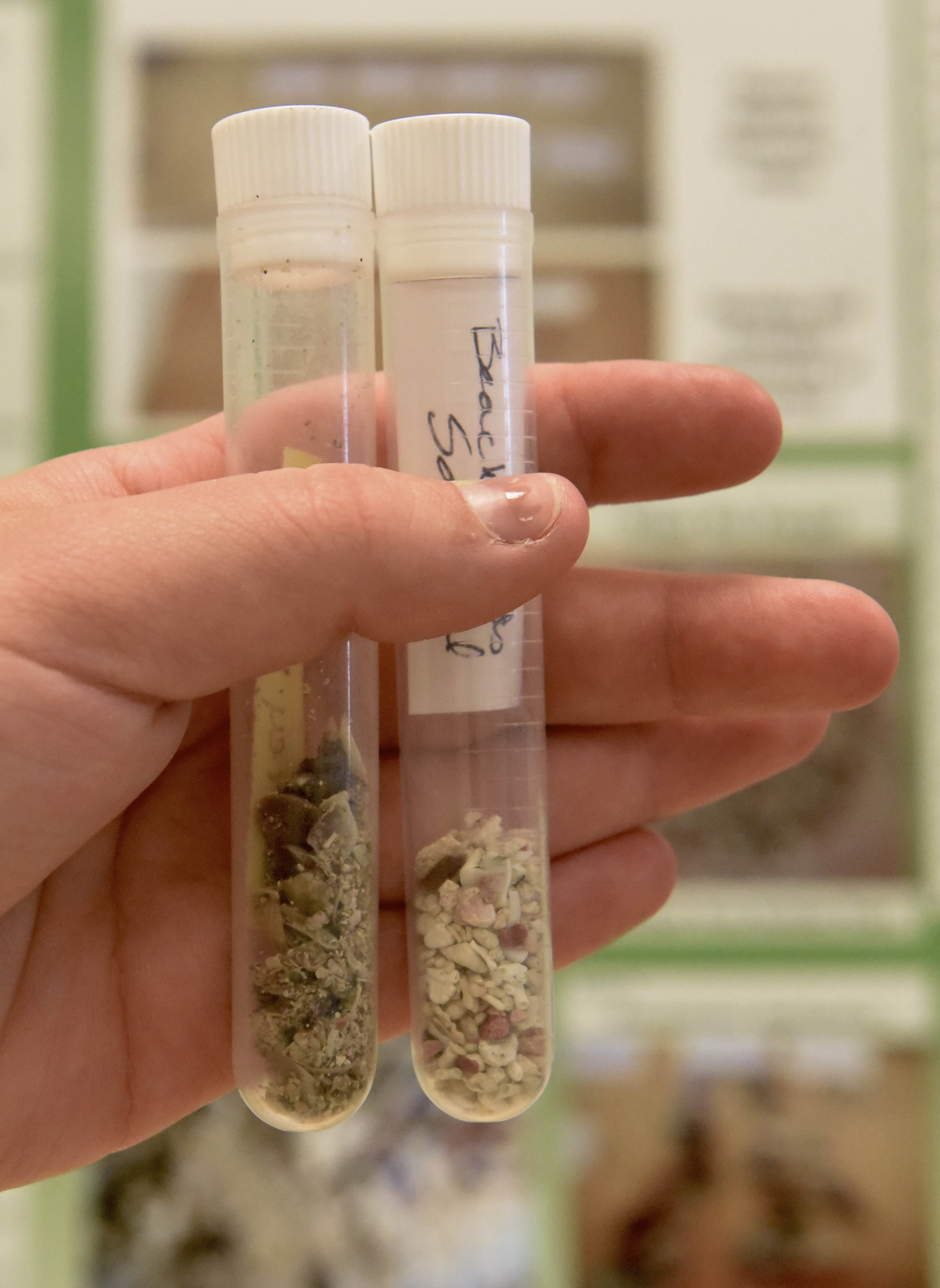 Sediment samples taken before and after a hurricane are part of the exhibit as UTC students who travelled to the Bahamas to do biological and geological research present a display about their findings on Wednesday, Apr. 13, 2016, in Chattanooga, Tenn.