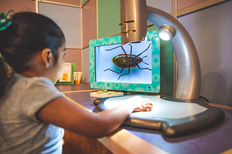 Kids can look through a microscope to see nature in a big way.