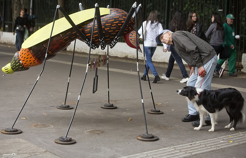 A man walking his dog, stops to examine an Aedes aegypti mosquito sculpture created by street artist Andre Farkas, on a Paulista Ave. sidewalk, in Sao Paulo, Brazil, Friday, May 27, 2016. According to Farkas, the sculpture is intended to bring awareness to the spread of the Zika virus in Brazil. (AP Photo/Andre Penner)