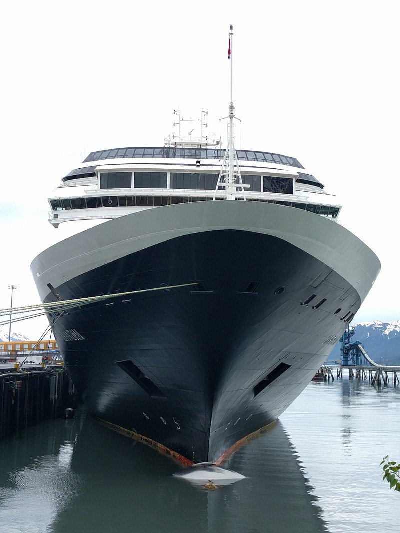 
              In this Sunday, May 29, 2016, photo provided by Matt Faust shows a whale carcass on the bow of a cruise ship at a port in Seward, Alaska. A veterinary pathologist worked Monday to determine what killed the juvenile fin whale. (Matt Faust via AP) MANDATORY CREDIT
            