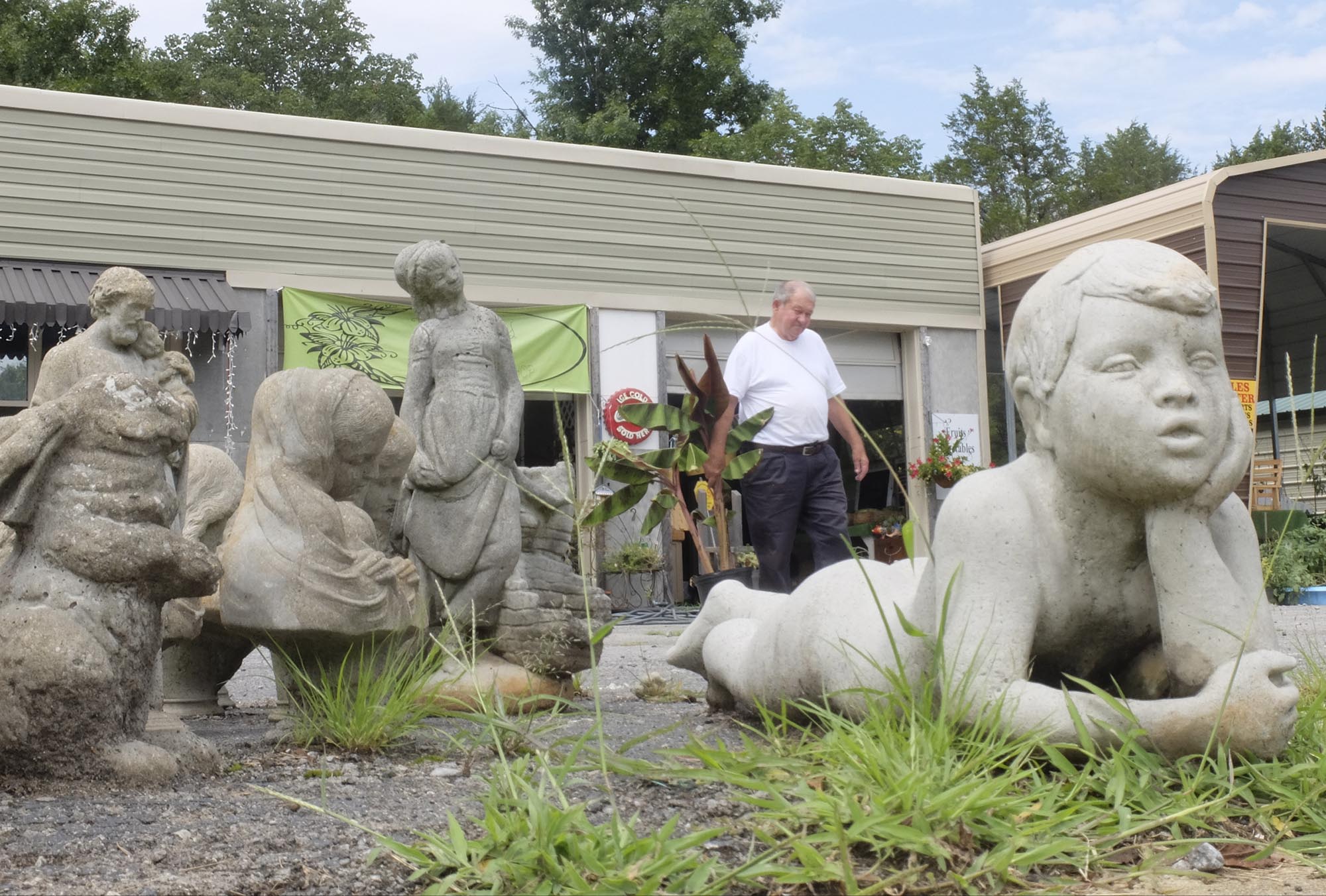 Lee Riddle moves one of his banana tree plants into view for passing traffic Friday on U.S. Highway 11 in Trenton, Ga. Lee and Liz Riddle own The Lily Pad Garden and Gift shop located one half mile north of the square in Trenton.