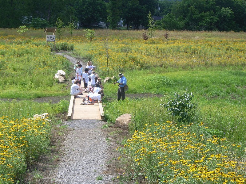Tennessee Wetlands Festival offers handson learning Chattanooga