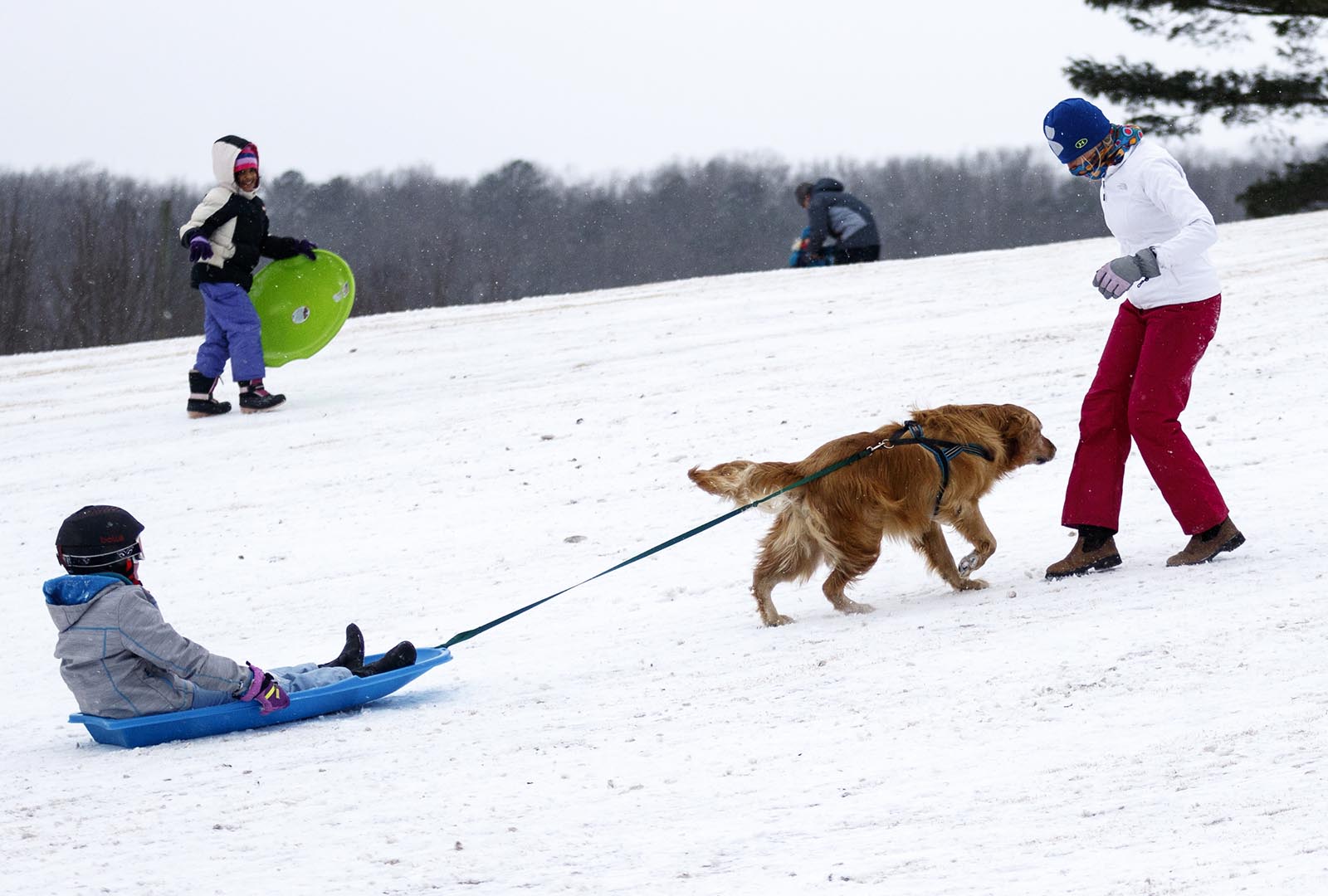 Laura Duncan, right, watches as labrador retriever Bear helps to pull Skyla Duncan up a hill while sledding on a fairway of the Signal Mountain Golf and Country Club after winter storm Jonas swept across the Eastern United States on Saturday, January 23, 2016, in Signal Mountain, Tenn. While much of the East Coast received heavy snowfall, the Tennessee Valley was less effected.