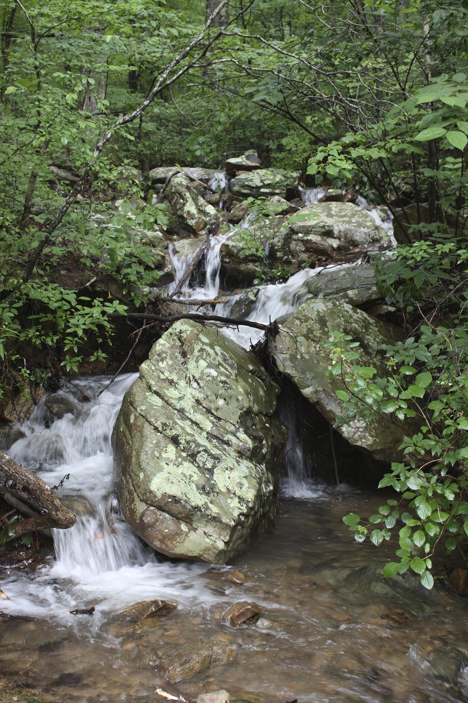 A series of small waterfalls created by recent heavy rains on the Cumberland Trail along the North Chickamauga Creek Gorge. Photograph taken Monday.
