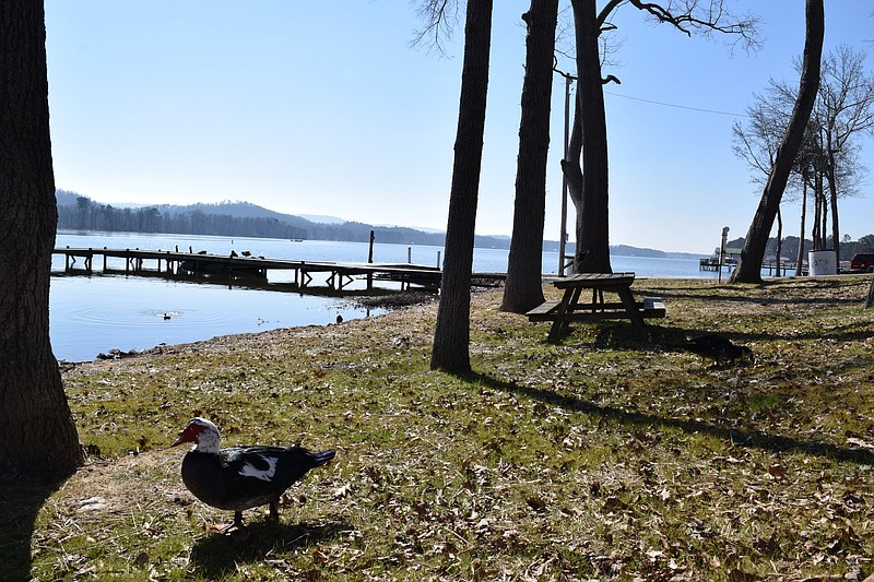 This 2015 file photo shows a park on Guntersville Lake in Alabama. 