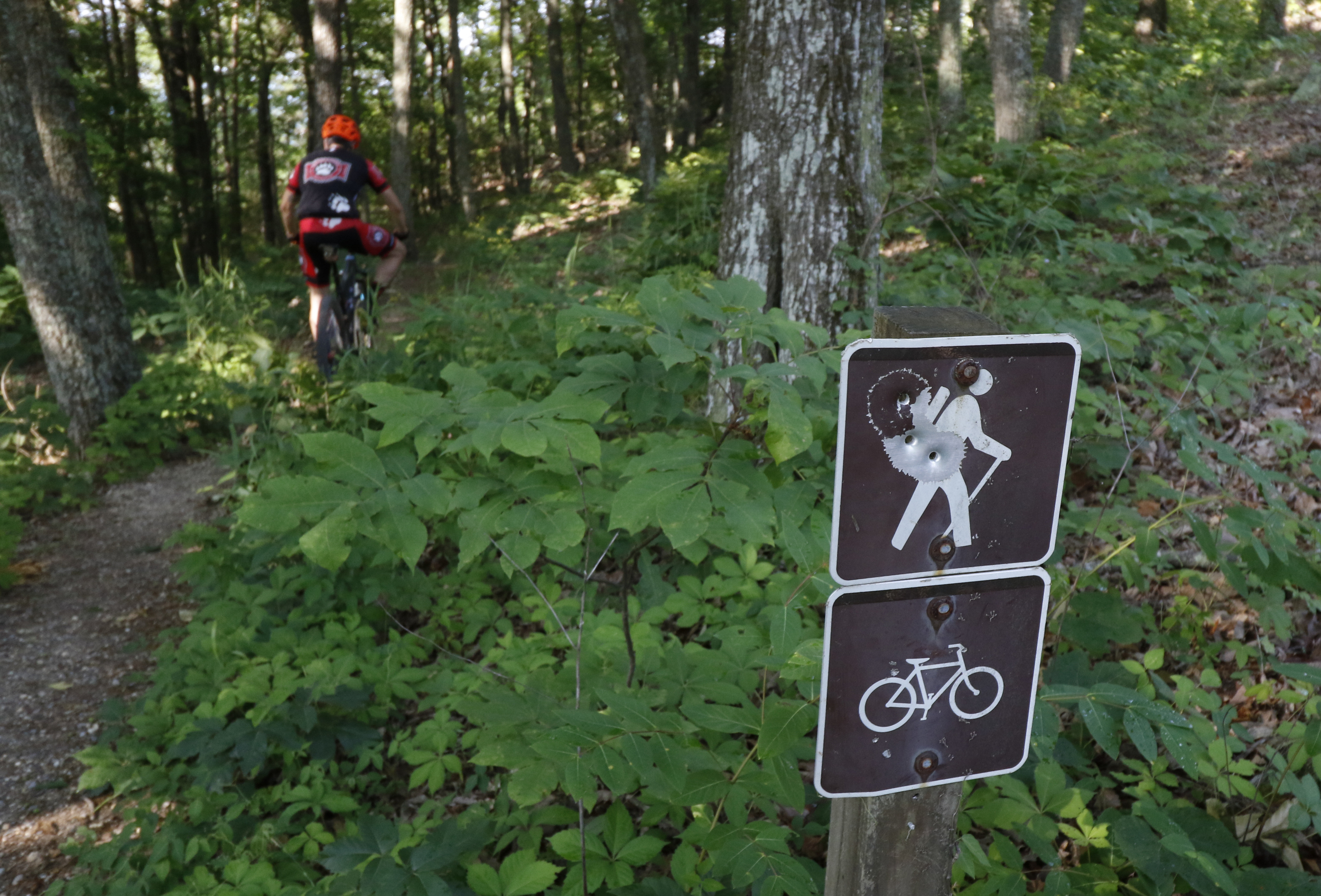 Staff Photo by Dan Henry / The Chattanooga Times Free Press- 5/25/16. Jeff Bartlett enters an expert section of the Pinhoti Trail near the Dug Gap trailhead where he and other mountain bikers have seen modifications with the removal or addition of rocks to make boulder garden sections easier to ride. With a small number of expert trails in the Chattanooga area these modifications are seen as destructive and bad for the mountain biking community as a whole.