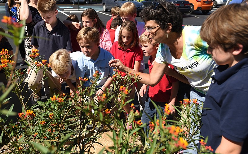 Mary Beth Sutton, second from right, points out Monarch caterpillars on milkweed while kids were out to look for Monarch butterflies to tag in Skyuka Hall's butterfly gardens in October of 2015.