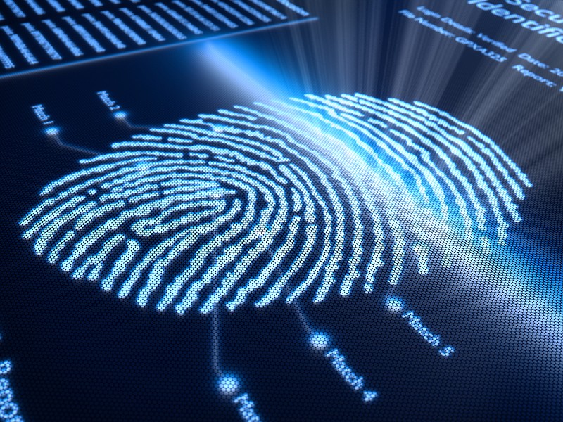 Fingerprint scanning technology.