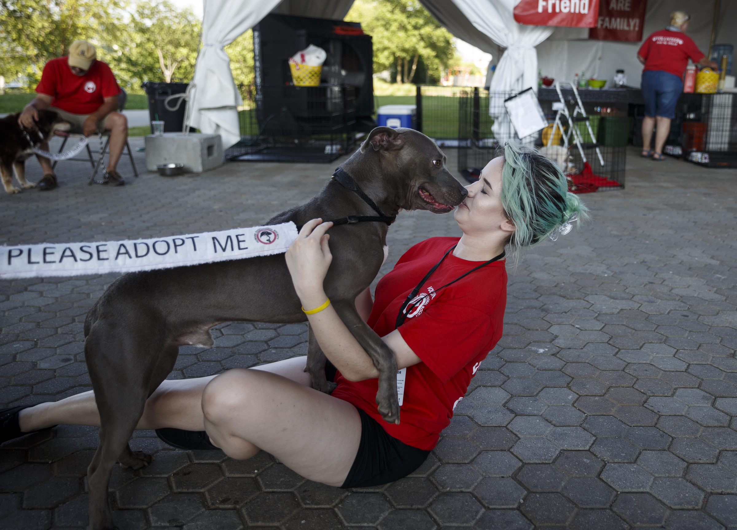 Rebeccah Ballew gets a kiss from Romeo as she volunteers at the Humane Educational Society booth on the 2nd day of the Riverbend Festival at Ross's Landing on Saturday, June 11, 2016, in Chattanooga, Tenn. Rock band Heart headlined Saturday night.