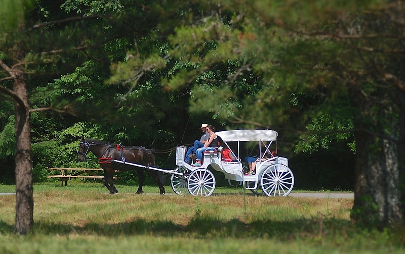 Reflection Riding Arboretum & Nature Center began offers carriage rides.