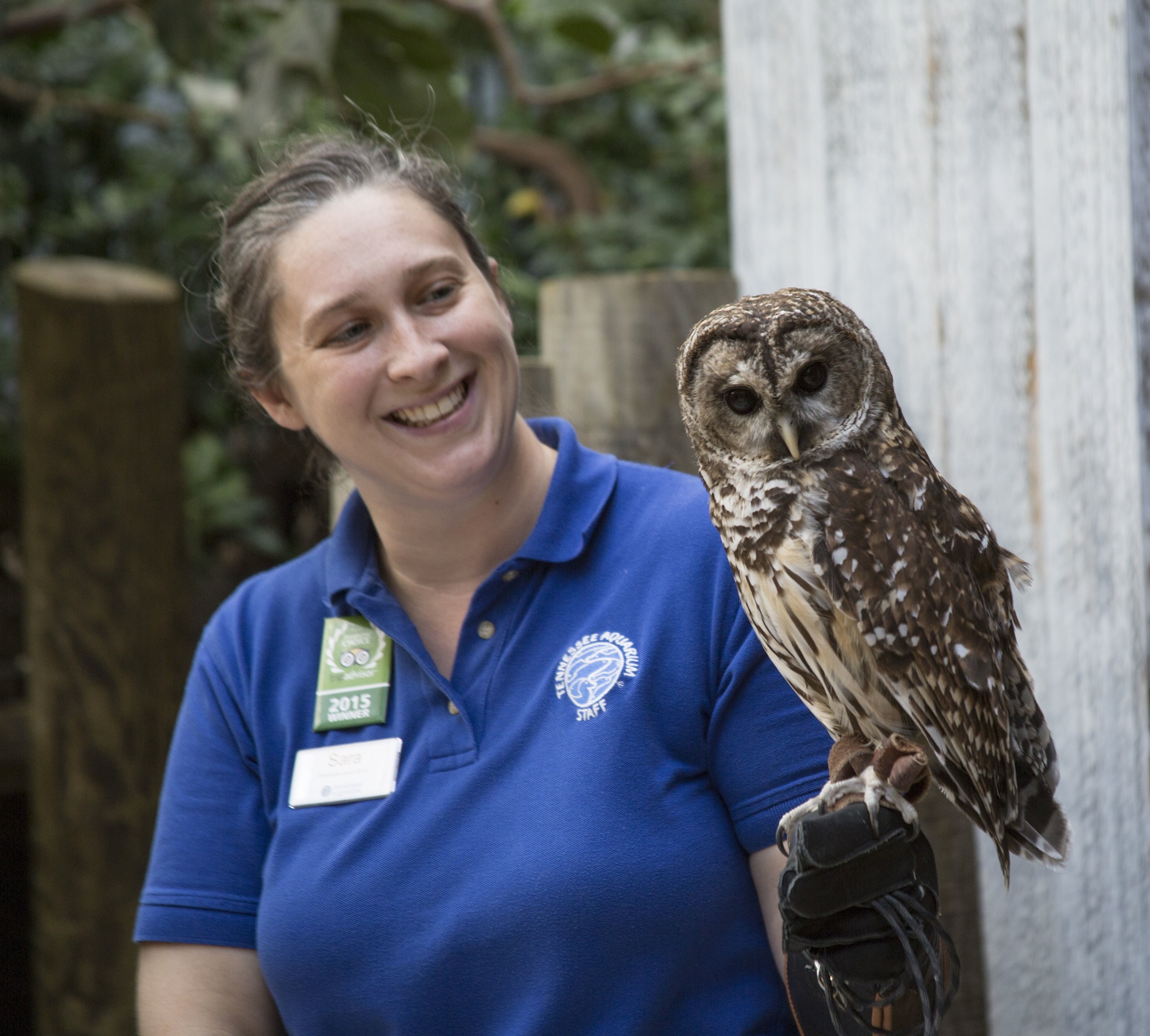 More than 20 programs are offered daily by aquarium educators, who teach about animals living in the Tennessee Valley.