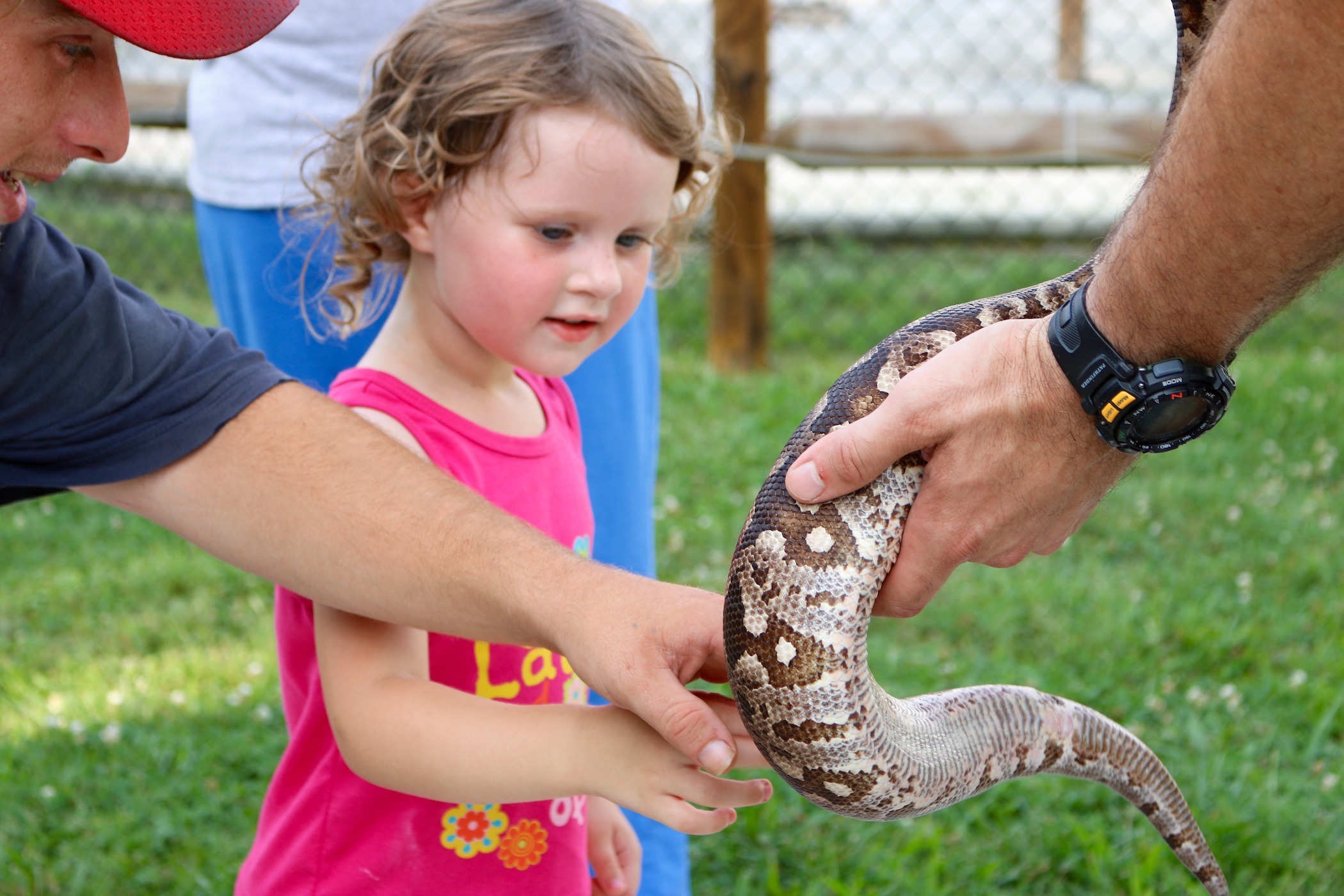 Kids are invited to a Reptile Roundup at Chattanooga Zoo on Saturday. There will be education programs, crafts and meet-and-greets with scaley creatures from 10 a.m. and 3 p.m.