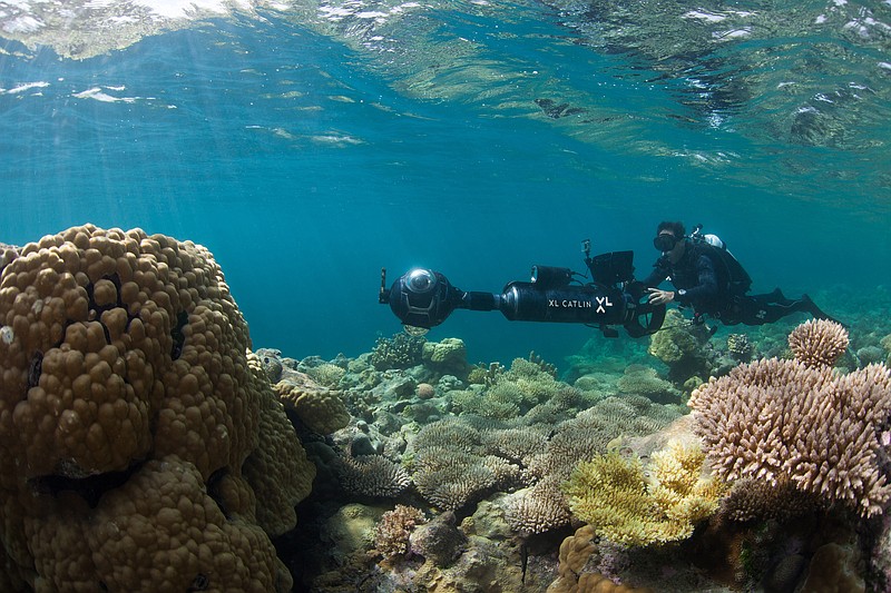 
              In this August 2015 photo, a diver with the XL Catlin Seaview Survey photographs coral reefs in Hawaii. As the urgency to save the world’s coral reefs increases, scientists using facial recognition technology and 360 degree underwater photos have announced the development of new software that allows them to pull comprehensive scientific data from their vast archive of digital images. (XL Catlin Seaview Survey via AP) MANDATORY CREDIT
            
