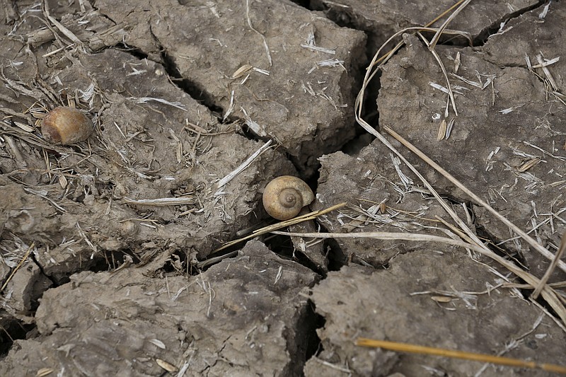 Drought-cracked soil. (AP Photo/Sakchai Lalit)
