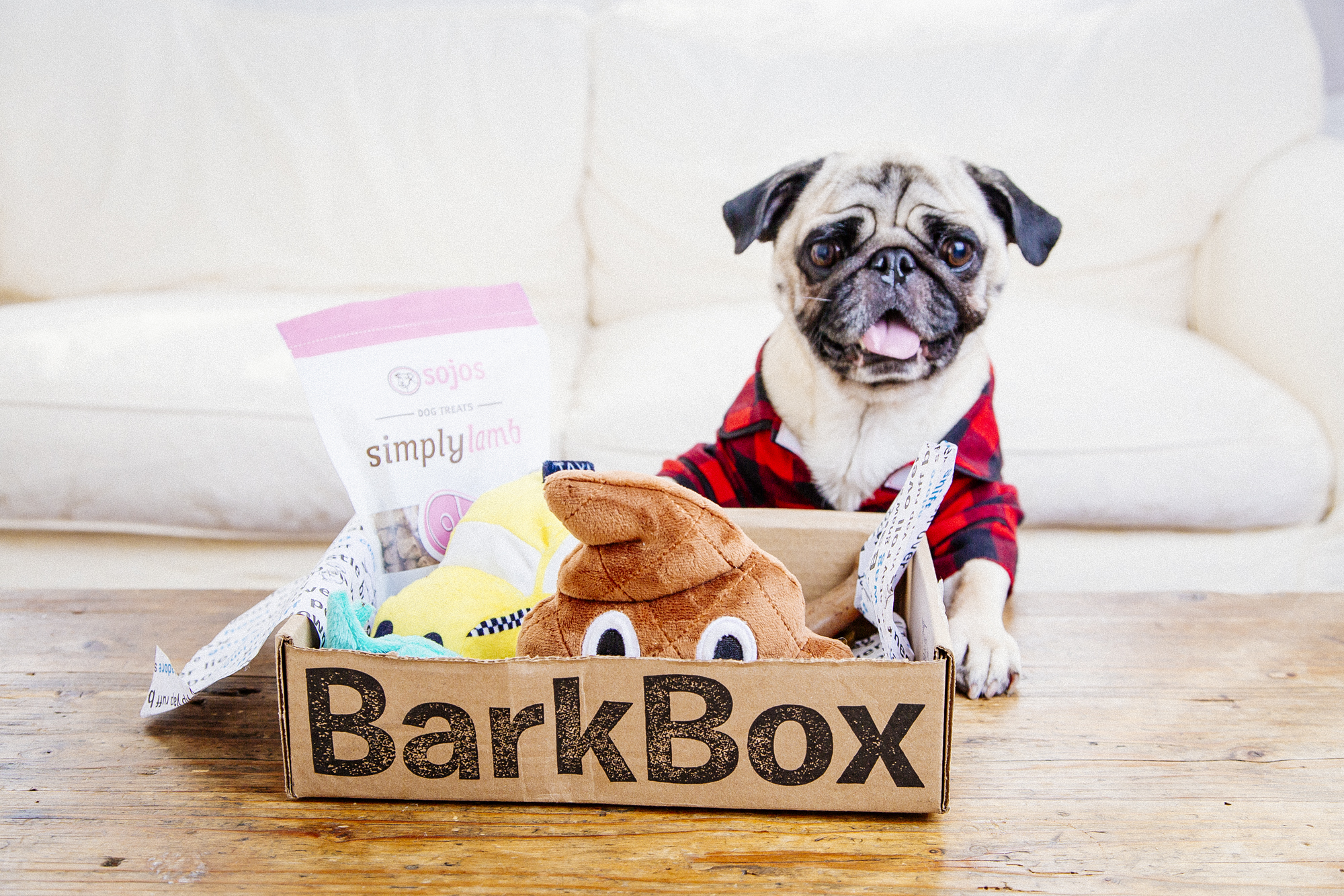 Bark Box