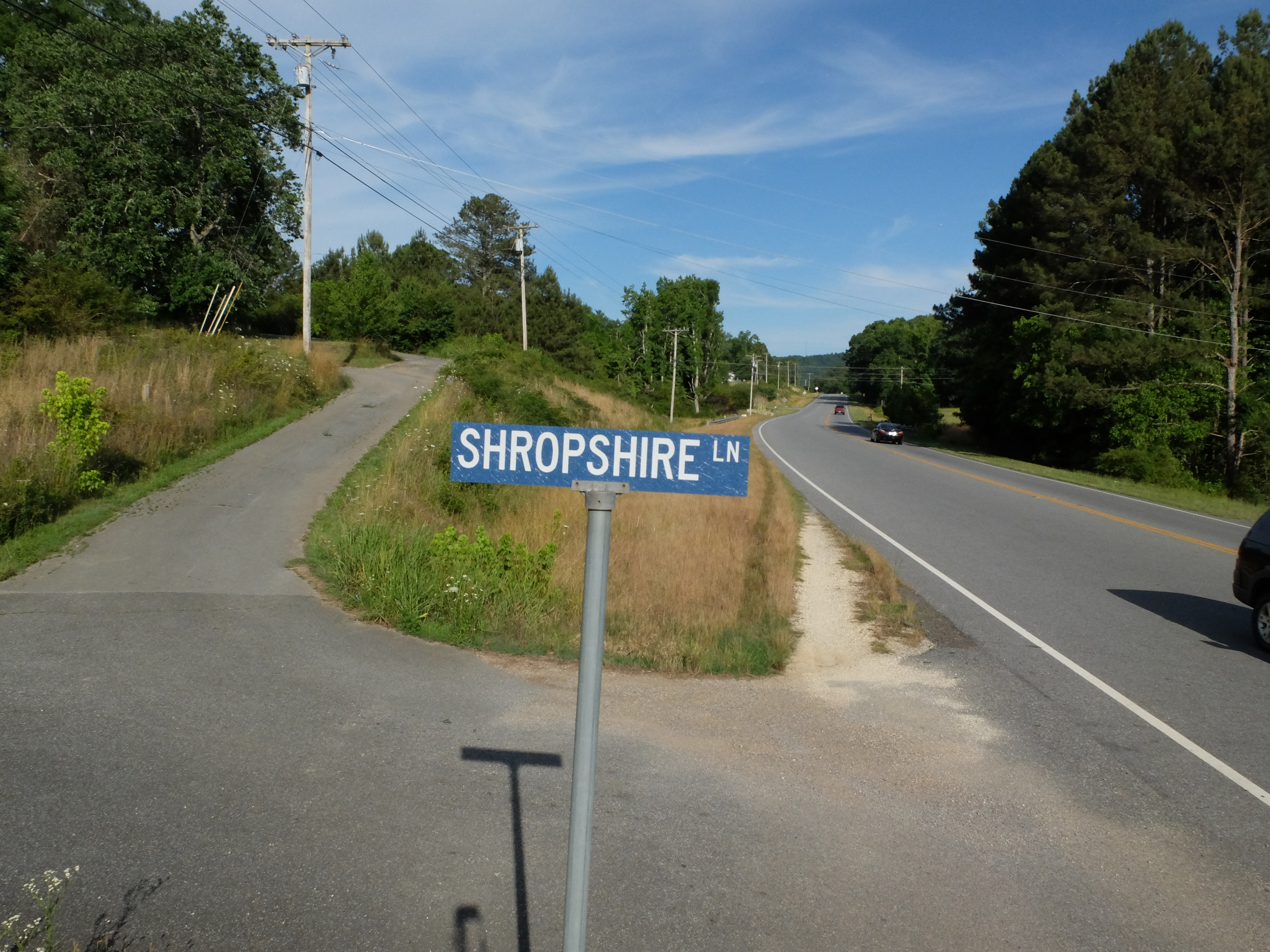 Just off Highway 136 in LaFayette, the Shropshire Lane sign marks a point of interest in the 2014 murder involving two distant cousins.