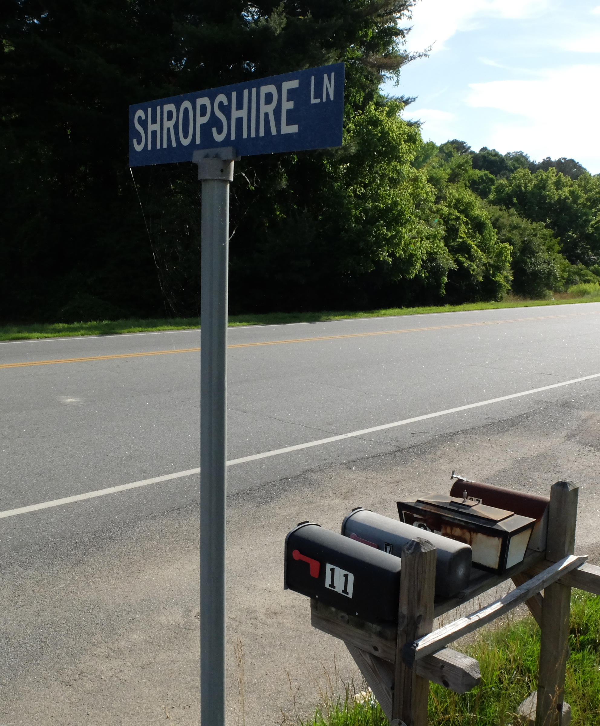 Just off Highway 136 in LaFayette, the Shropshire Lane sign marks a point of interest in the 2014 murder involving two distant cousins.