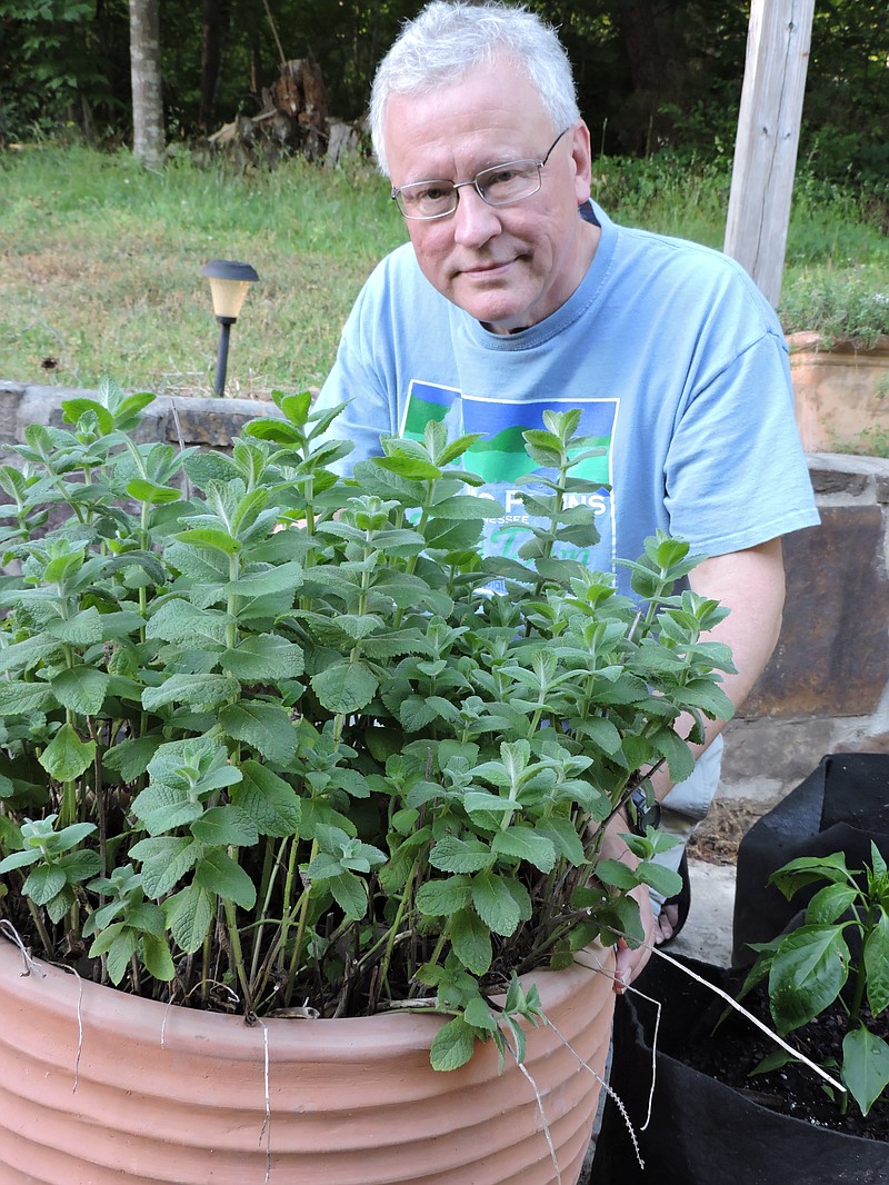 Superior Court Judge Ralph Van Pelt kneels beside the chocolate-mint plant in his backyard. Prior to going to law school and then working his way up to judge from attorney to assistant district attorney and then district attorney, Van Pelt considered being an archaeologist. He said he likes to study archaeology and history.
