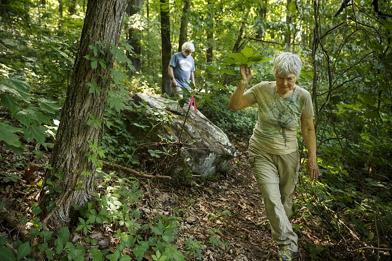 Carol Kimmons, right, and her husband Johnny walk along the new Pipsissewa trail at the Sequatchie Valley Institute on Wednesday, June 22, 2016, in Whitwell, Tenn. The nonprofit has completed a new pair of self-guided nature trails which are available to the public on the weekends.