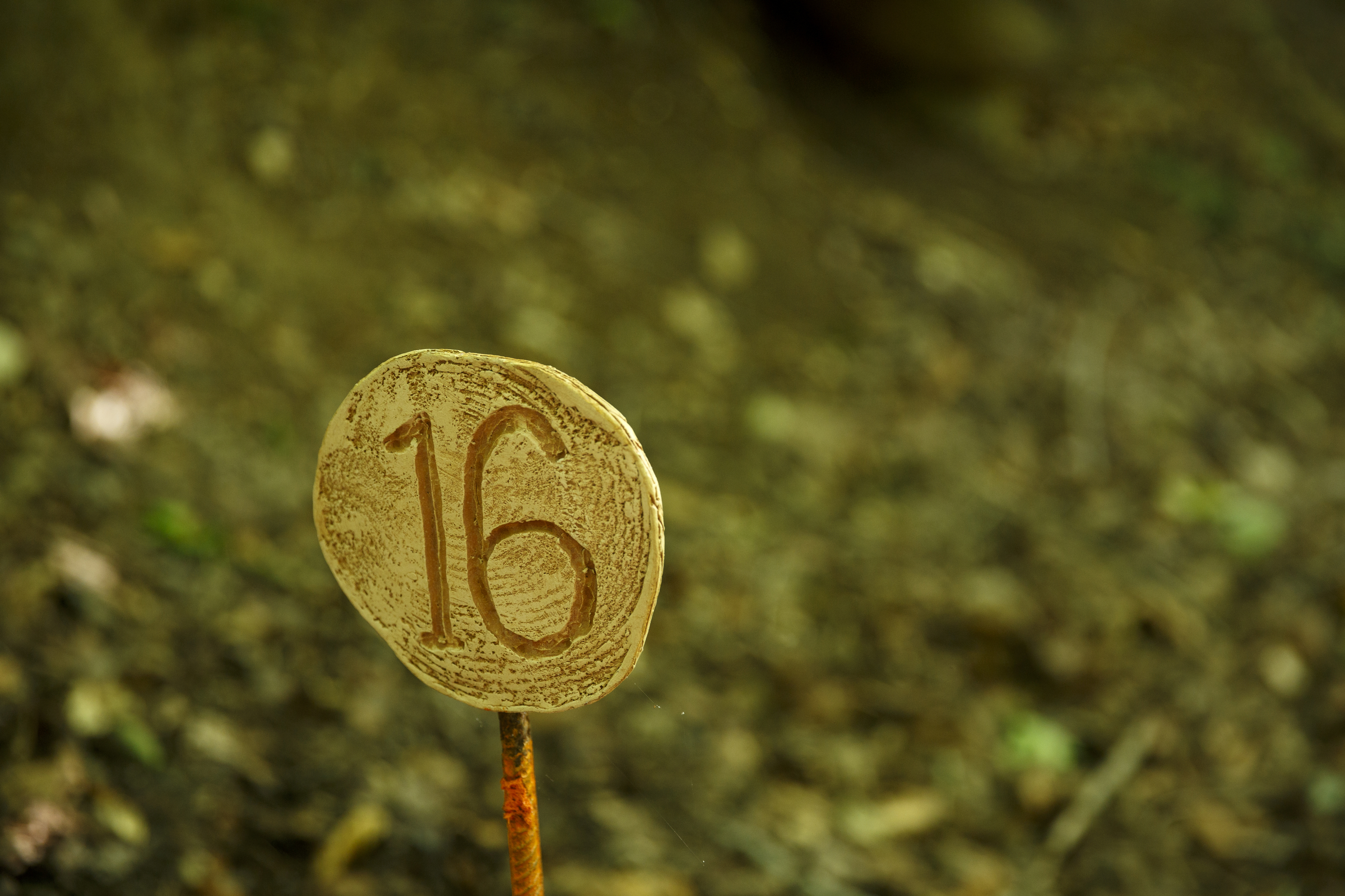 A ceramic trail marker guides hikers at the Sequatchie Valley Institute on Wednesday, June 22, 2016, in Whitwell, Tenn. The nonprofit has completed a new pair of self-guided nature trails which are available to the public on the weekends.