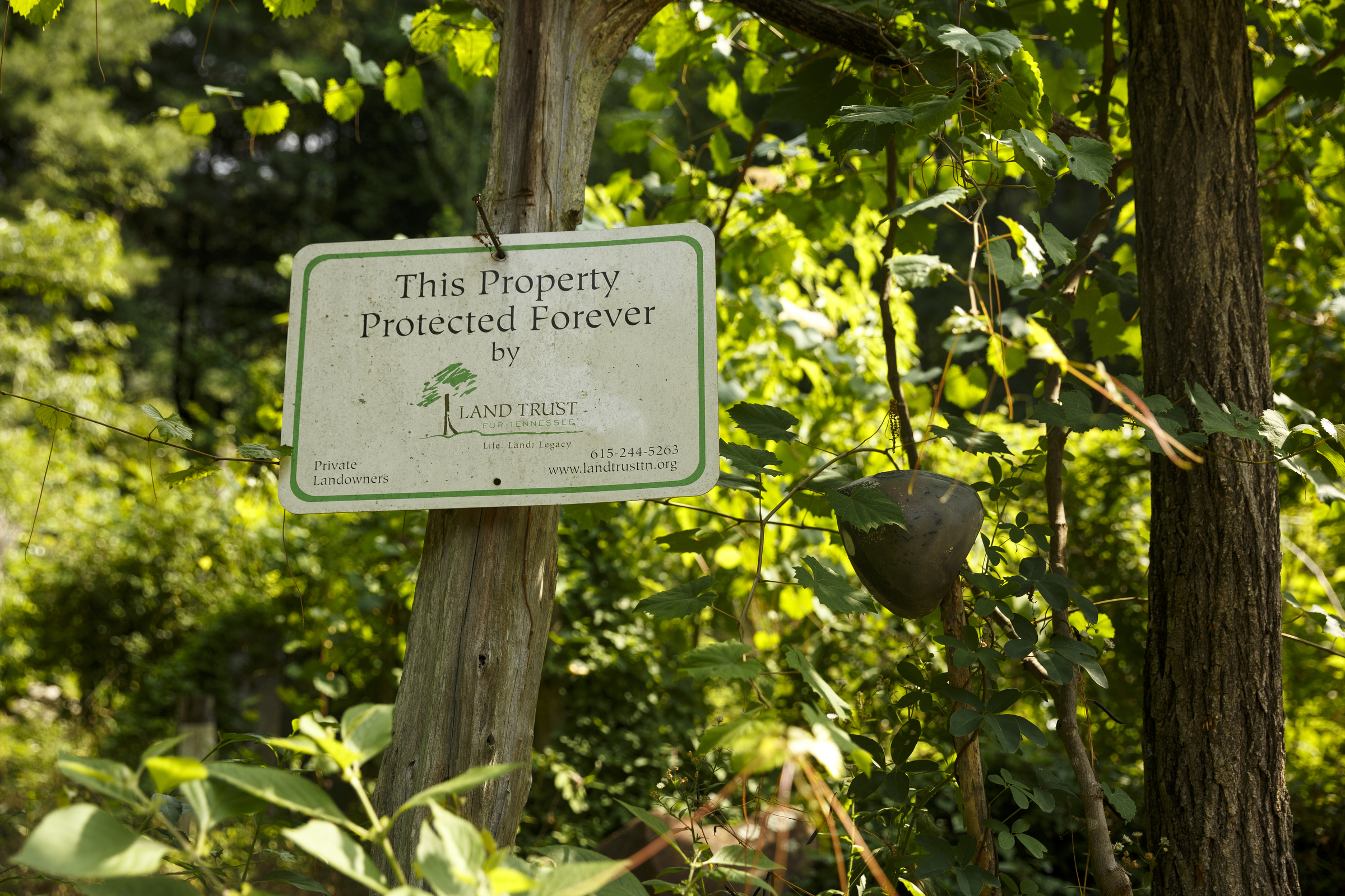 A Land Trust sign indicates the protection of the Sequatchie Valley Institute on Wednesday, June 22, 2016, in Whitwell, Tenn. The nonprofit has completed a new pair of self-guided nature trails which are available to the public on the weekends.
