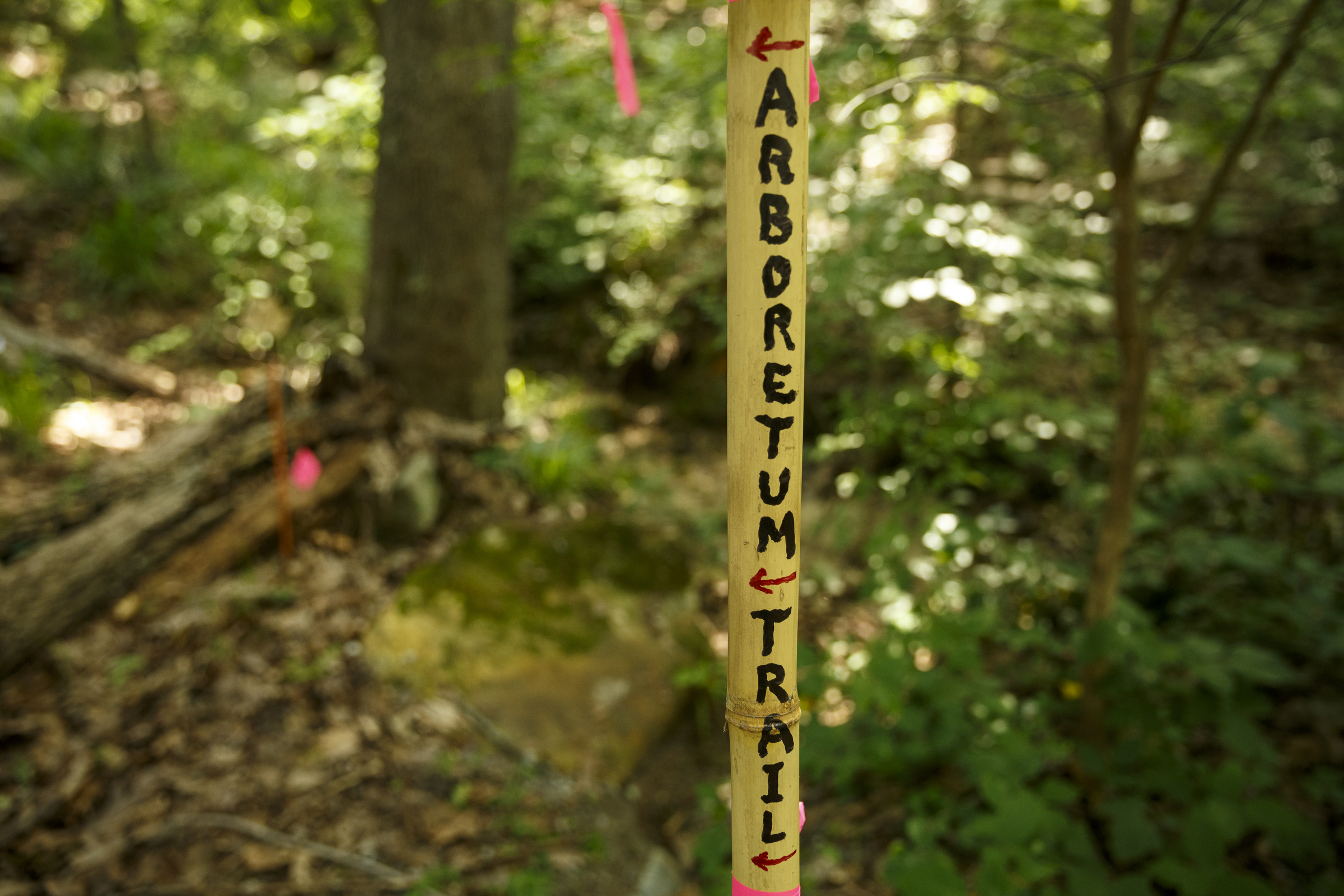 A post marks the Arboretum Trail at the Sequatchie Valley Institute on Wednesday, June 22, 2016, in Whitwell, Tenn. The nonprofit has completed a new pair of self-guided nature trails which are available to the public on the weekends.