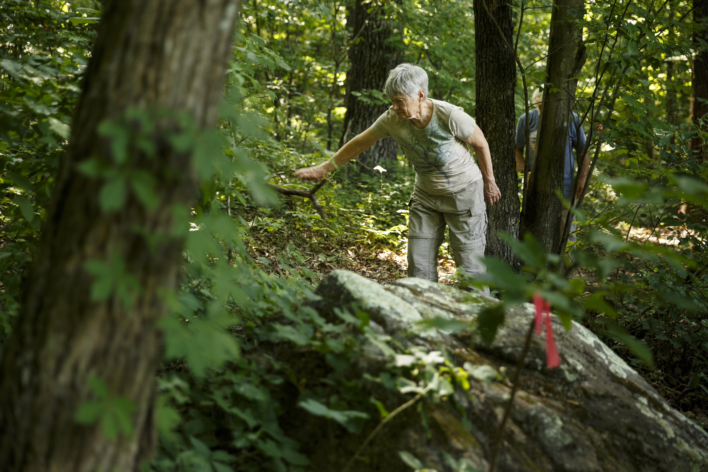 Carol Kimmons walks along the new Pipsissewa trail at the Sequatchie Valley Institute on Wednesday, June 22, 2016, in Whitwell, Tenn. The nonprofit has completed a new pair of self-guided nature trails which are available to the public on the weekends.