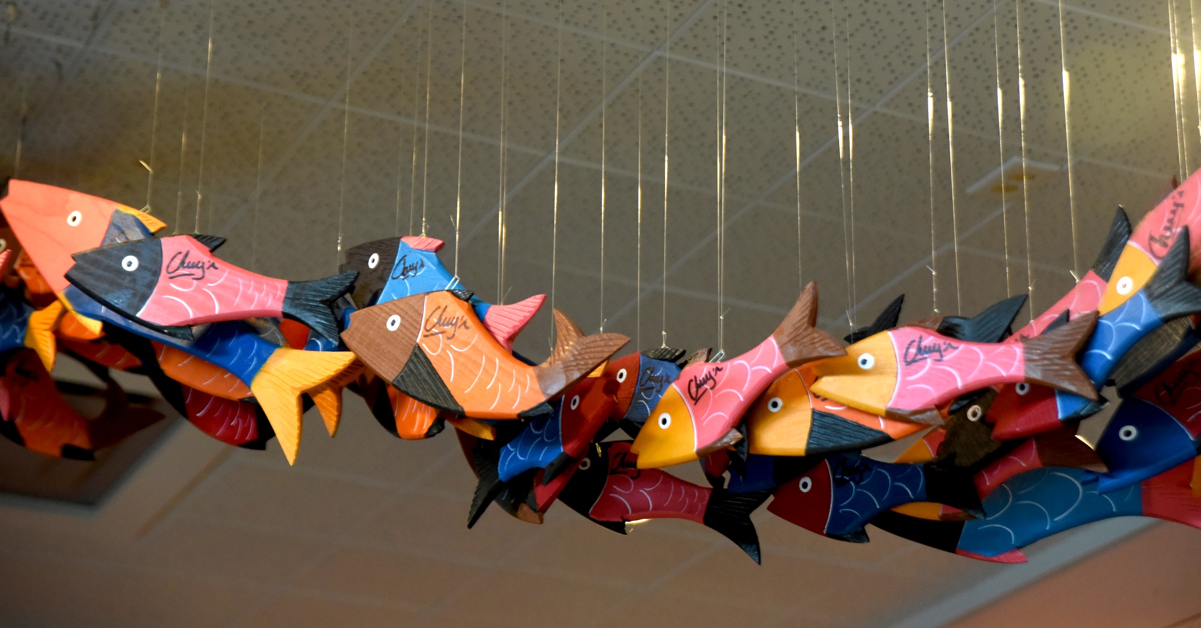 Wooden fish hang from the ceiling Monday, June 27, 2016 at Chuy's on Gunbarrel Road.
