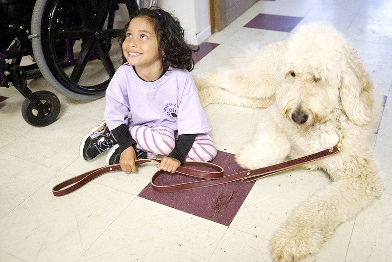 
              In this April 8, 2010 photo, Ehlena Fry, 6, who has cerebral palsy, sits by Wonder, her service dog in Napoleon, Mich. The Supreme Court is taking up an appeal by the Michigan girl who wasn't allowed to bring her service dog to school. The justices said Tuesday, June 28, 2016, they will consider whether Ehlena Fry's family can sue the school district for violations of federal disability laws. (AP Photo/Jackson Citizen Patriot/Dave Weatherwax) ** NO ARCHIVES, NO INTERNET, MAGS OUT. NO SALES  **
            