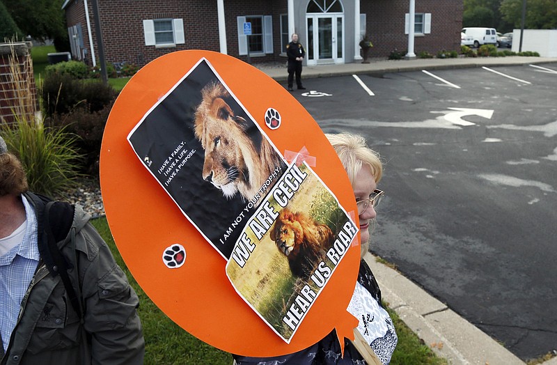 
              FILE - In this Sept. 2015 file photo, demonstrators gather outside the dental practice of Walter Palmer, identified as the hunter who killed Cecil the lionin Zimbabwe. A year ago Palmer killed the lion in what authorities said was an illegal hunt, infuriating people worldwide and invigorating an international campaign against trophy hunting in Africa. (AP Photo/Jim Mone-File)
            
