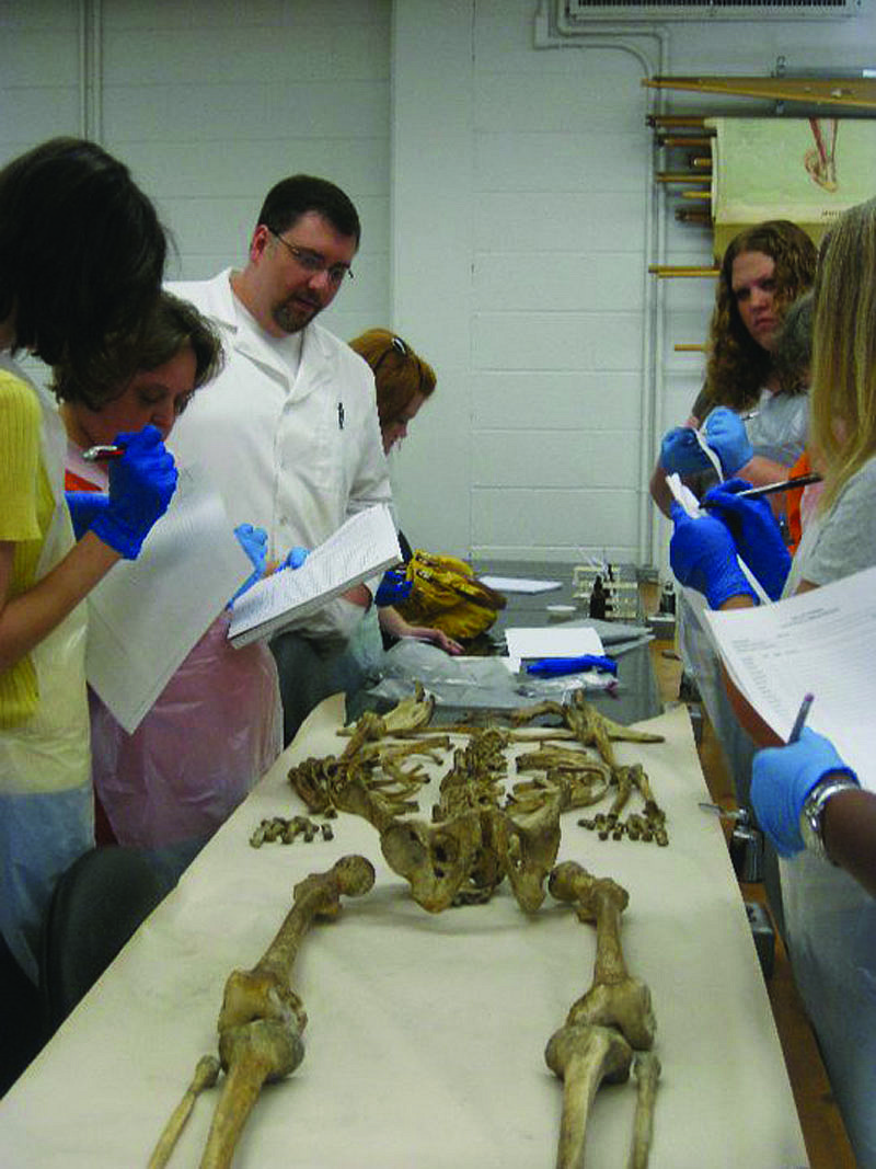 Cleveland State biology professor James Peters guides students through the process of creating a biological profile for human remains from a skeleton, which will help the student scientists estimate age, gender and ethnicity of the "deceased." For this activity, Peters lays all 206 bones on the exam table and students put them together to form the skeleton.