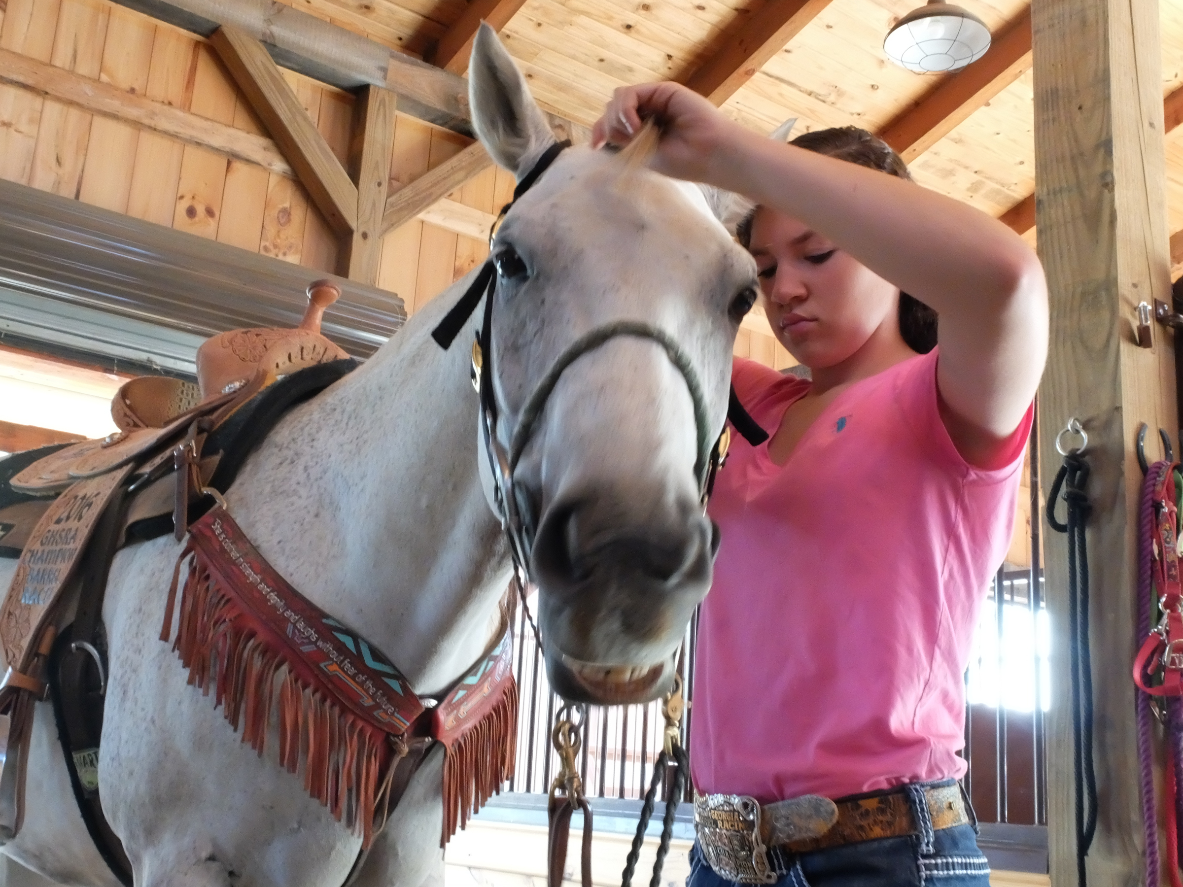 Holli Covey prepares her horse, Han,k for barrel racing in the barn at her father's farm in Ringgold, Ga.