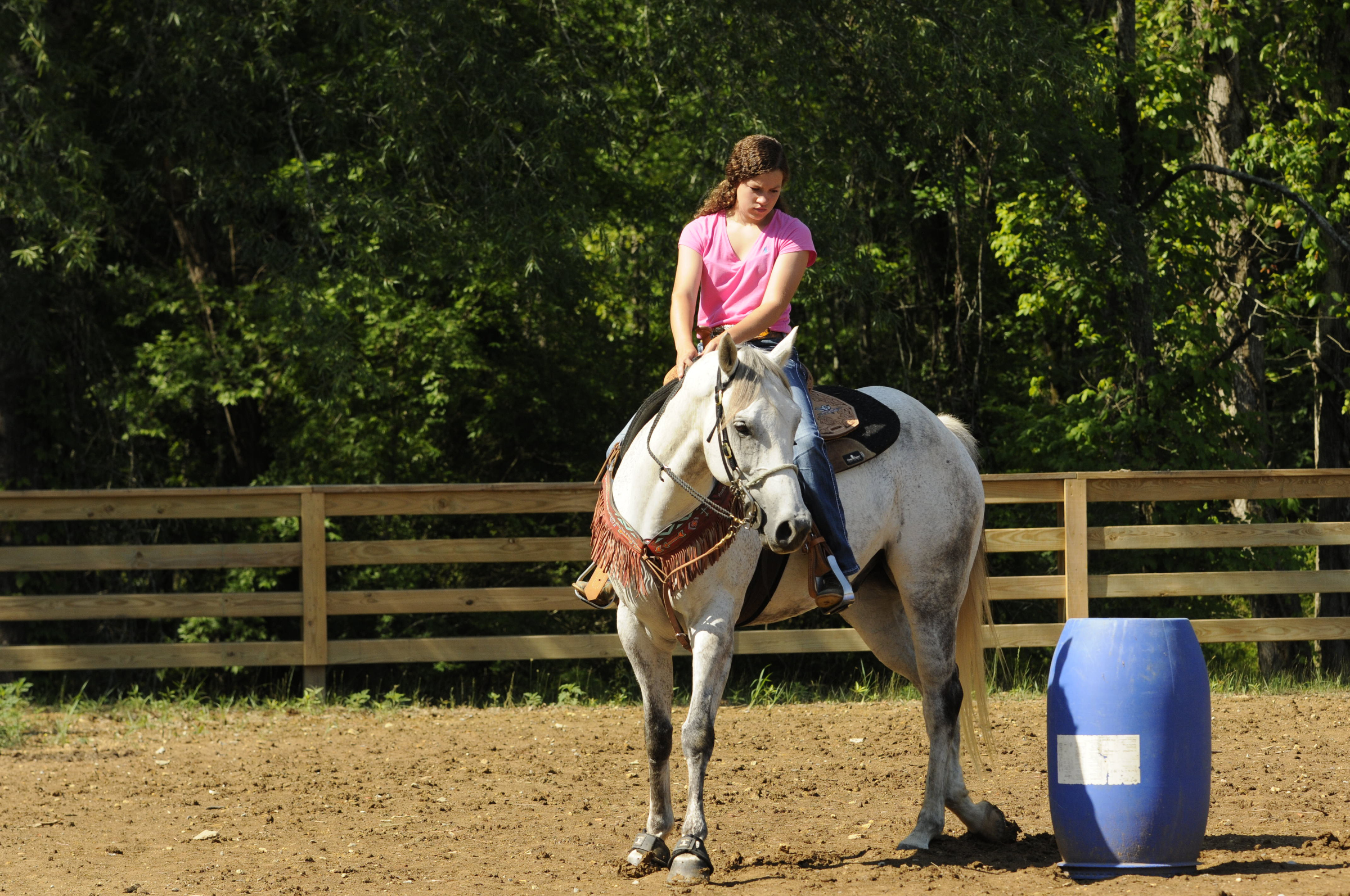Holli Covey trains with her horse, Hank, for barrel racing with a twice-daily workout.