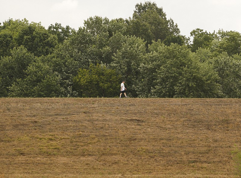 Staff Photo by Dan Henry / The Chattanooga Times Free Press- 7/5/16.  A pedestrian walks along the Brainerd Levee on Tuesday, July 5, 2016 where a lack of rain has caused the grasses to turn brown. 