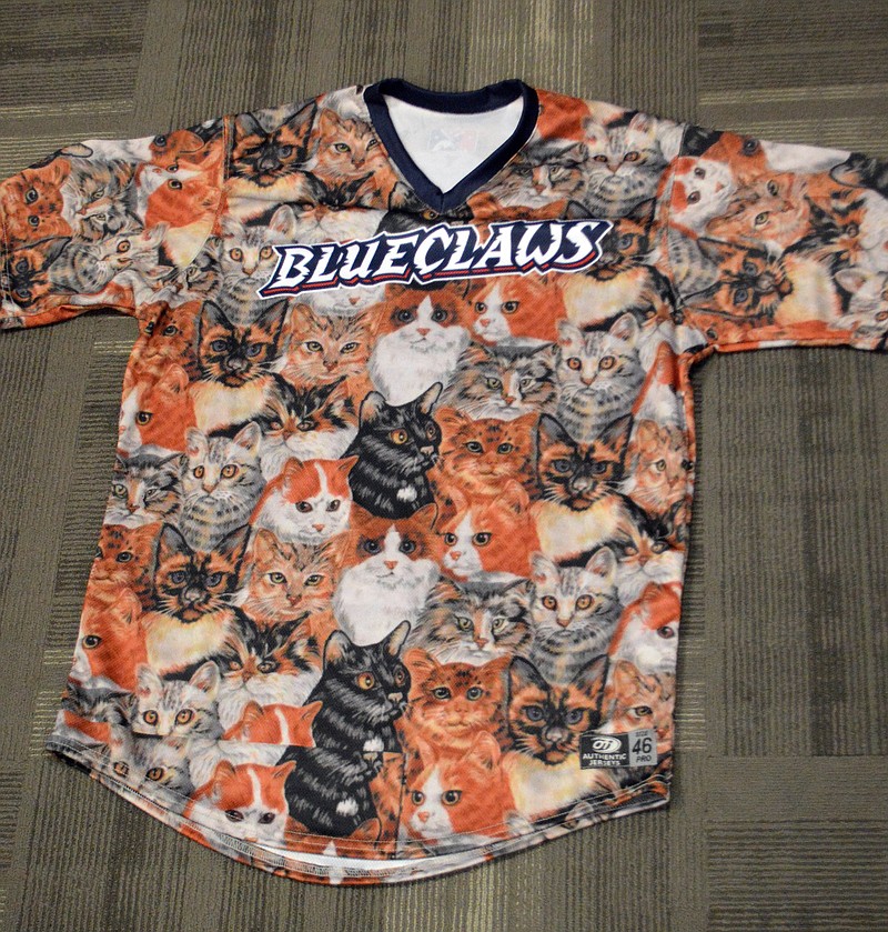 
              This undated photo, provided by the Lakewood BlueClaws minor league baseball team, shows a team jersey designed with cats. The Class "A" Affiliate of the Philadelphia Phillies is so confident that furballs and flyballs are purrfect together they are inviting fans to bring their cats to this Saturday, July 9, 2016 game, designated CATurday, when the BlueClaws play the West Virginia Power in Lakewood, NJ. (Lakewood BlueClaws via AP Photo)
            