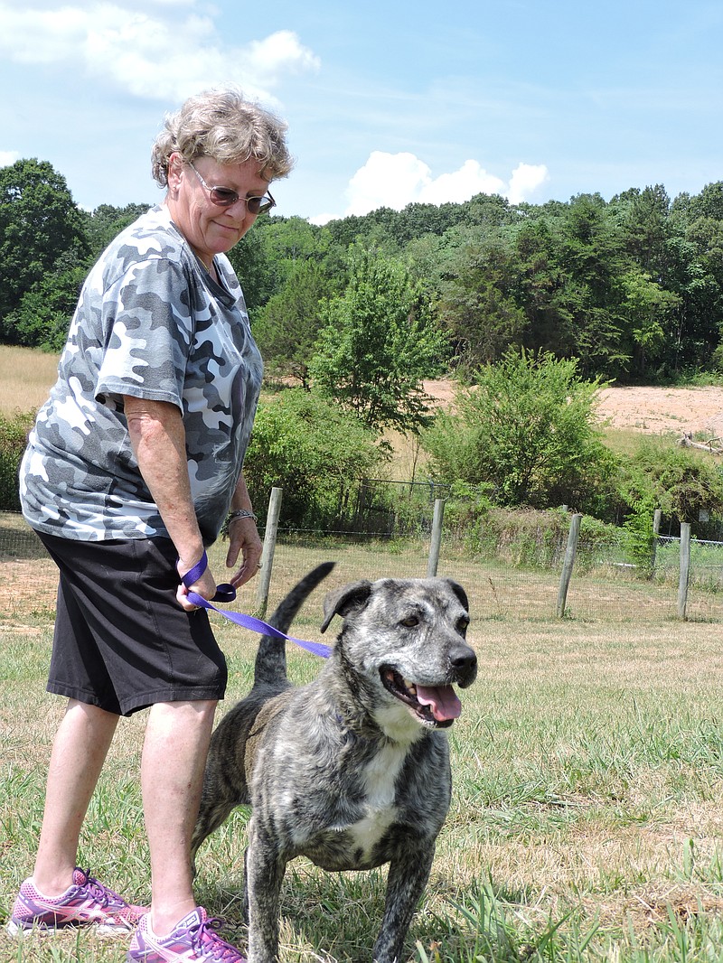 Walker County Animal Shelter volunteer Sarah Puckett walks Lucy, who was surrendered by her owner. Lucy's parents were moving out of state and started crying when they dropped her off. So, Puckett said she promised to spend a lot of time with Lucy, who is a Labrador retriever mix.